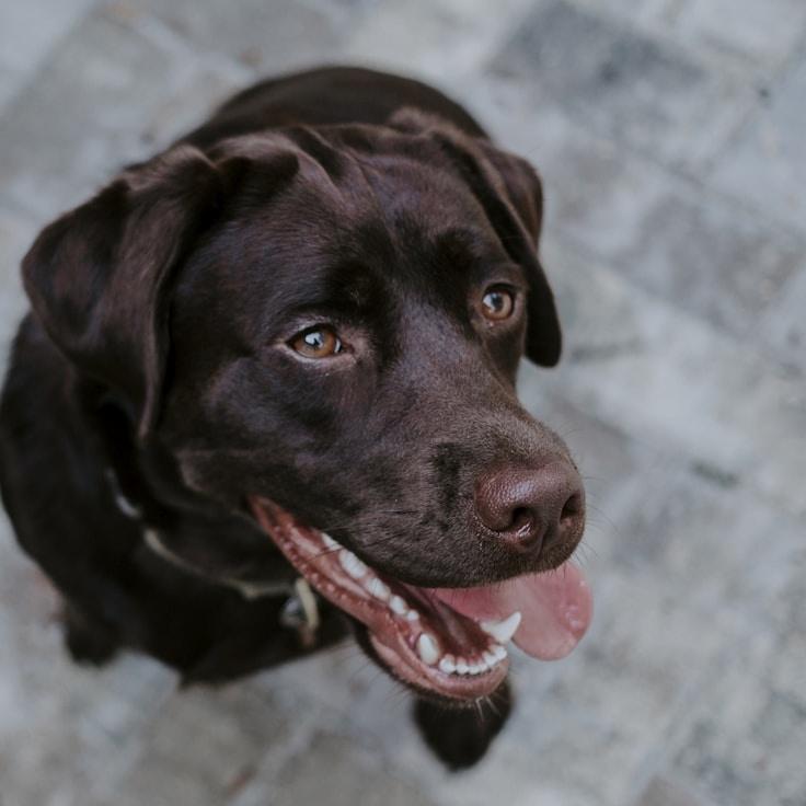 Landscape day trip near Springfield, United States